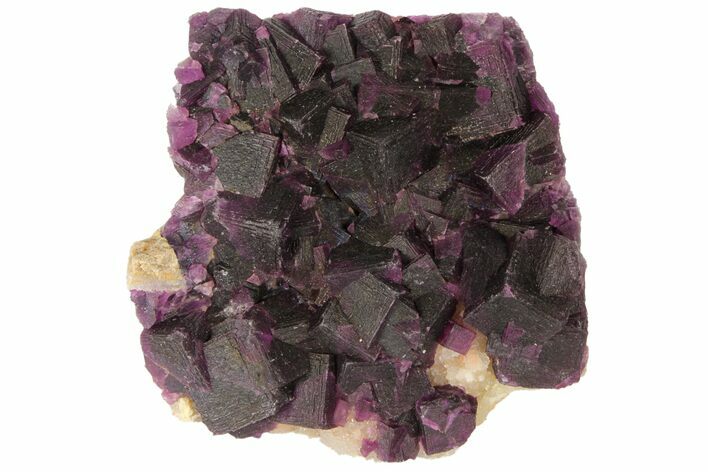 Dark Purple Cubic Fluorite on Quartz - China #94322
